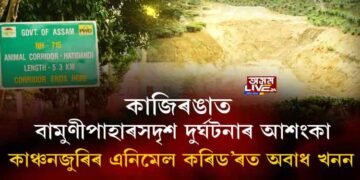 ১৮ বন্যহস্তীৰ মৃত্যুসদৃশ ঘটনাৰ পুনৰাবৃত্তি হ’ব নেকি কাজিৰঙাত?