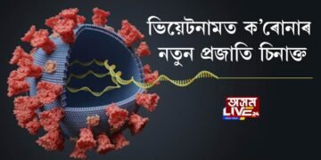 ভিয়েটনামত ক’ৰোনাৰ নতুন প্ৰজাতি চিনাক্ত