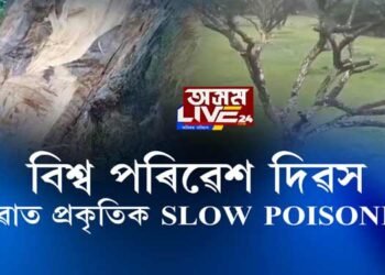 চাবুৱাত প্ৰকৃতিক SLOW POISONING