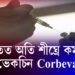 ভাৰতত অতি শীঘ্ৰে কম দামী ভেকচিন Corbevax