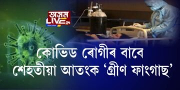 কোভিড ৰোগীৰ বাবে শেহতীয়া আতংক ‘গ্ৰীণ ফাংগাছ’