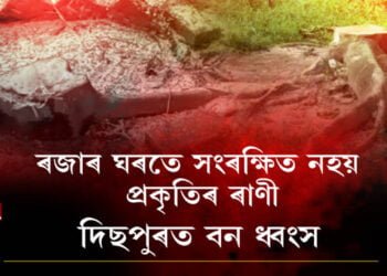 ৰজাৰ ঘৰতে সংৰক্ষিত নহয় প্ৰকৃতিৰ ৰাণী