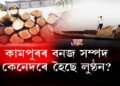 কামপুৰৰ বনজ সম্পদ। কেনেদৰে হৈছে লুণ্ঠন?