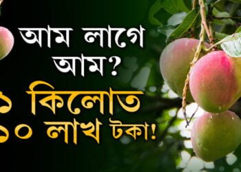 ১ কিলো আমত ১০ লাখ টকা!