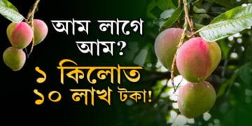 ১ কিলো আমত ১০ লাখ টকা!