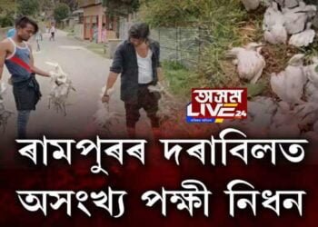 দক্ষিণ কামৰূপৰ ৰামপুৰৰ ‘দৰাবিল’ত অসংখ্য পক্ষী নিধন দুষ্কৃতিকাৰীৰ