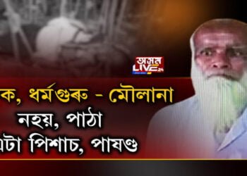 নৰপিশাচ, মানুহৰ ৰূপত এটা দানৱ