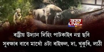 ৰাষ্ট্ৰীয় উদ্যান দিহিং পাটকাইৰ নগ্ন ছবি