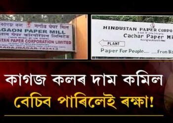 কাগজ কলৰ দাম কমিল, বেচিব পাৰিলেই ৰক্ষা!