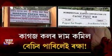কাগজ কলৰ দাম কমিল, বেচিব পাৰিলেই ৰক্ষা!