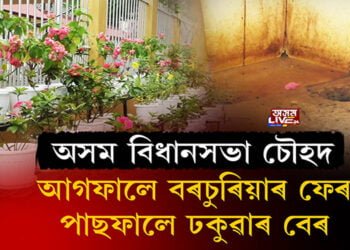 অসম বিধানসভা চৌহদৰ বাহিৰে ৰং চং, ভিতৰে কোৱাভাতুৰী
