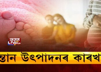 সন্তান উৎপাদনৰ কাৰখানা