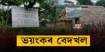 অসমৰ ভূমিত নগা, অৰুণাচলীৰ আগ্ৰাসন