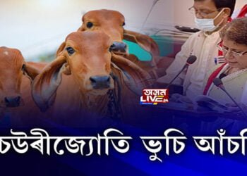 হিমন্ত বিশ্ব শৰ্মা চৰকাৰৰ প্ৰথমখন বাজেট দাখলিৰ লগে লগে আৰম্ভ ক্ৰিয়া-প্ৰতিক্ৰিয়া