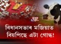 বাজেট অধিৱেশনৰ প্ৰথমটো দিনতে উত্থাপিত গো-সুৰক্ষা বিধেয়ক ২০২১