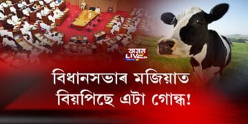 বাজেট অধিৱেশনৰ প্ৰথমটো দিনতে উত্থাপিত গো-সুৰক্ষা বিধেয়ক ২০২১