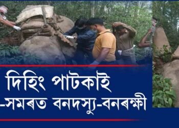 সমুখ-সমৰত বনদস্যু-বনৰক্ষী