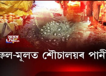 কদর্যময় পৰিৱেশত GMCৰ মার্কেট