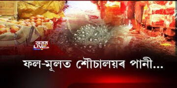 কদর্যময় পৰিৱেশত GMCৰ মার্কেট