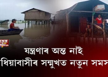 যন্ত্ৰণাৰ অন্ত নাই, দধিয়াবাসীৰ সন্মুখত নতুন সমস্যা