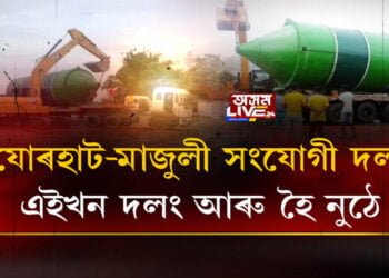 যোৰহাট-মাজুলী সংযোগী দলং, এইখন দলং আৰু হৈ নুঠে