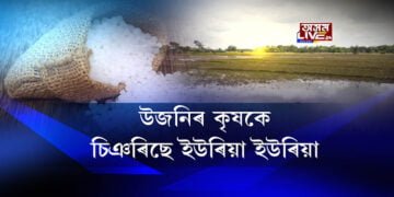 আর্কিমিডিছে চিঞৰিছিল ‘ইউৰেকা ইউৰেকা’, ৰাজ্যৰ চহা কৃষকে চিঞৰিছে ‘ইউৰিয়া ইউৰিয়া’