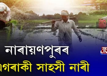 নাৰায়ণপুৰৰ এগৰাকী সাহসী নাৰী