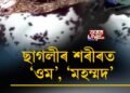 ছাগলীৰ শৰীৰত ‘ওম’, ‘মহম্মদ’, অমৰোহত উপস্থিত দিল্লীৰ গ্ৰাহক
