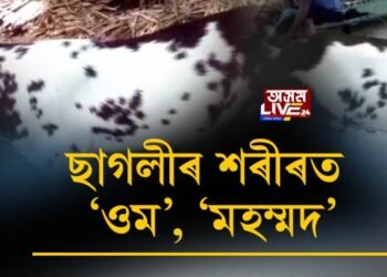 ছাগলীৰ শৰীৰত ‘ওম’, ‘মহম্মদ’, অমৰোহত উপস্থিত দিল্লীৰ গ্ৰাহক