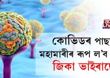 সাৱধান হওক, পৰৱৰ্তী মহামাৰীৰ ৰূপ ল’ব পাৰে জিকা ভাইৰাছে!
