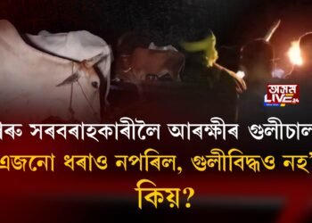 গৰু সৰবৰাহকাৰীলৈ আৰক্ষীৰ গুলী। এজনো ধৰাও নপৰিল, গুলীবিদ্ধও নহ’ল কিয়?