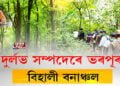 বনাঞ্চলৰ সুৰক্ষাৰ নানান কথা কয় বন বিভাগে, কিন্তু কথাতেই শেষ হয় সুৰক্ষা।