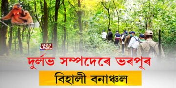 বনাঞ্চলৰ সুৰক্ষাৰ নানান কথা কয় বন বিভাগে, কিন্তু কথাতেই শেষ হয় সুৰক্ষা।