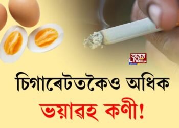 চিগাৰেটতকৈও অধিক ভয়াৱহ কণী!