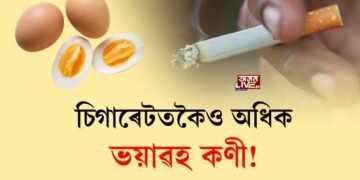চিগাৰেটতকৈও অধিক ভয়াৱহ কণী!