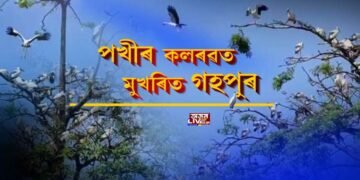 পৰিভ্ৰমী পক্ষীৰ কলৰৱত মুখৰিত গহপুৰ