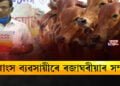 ৰজাঘৰীয়া নেতাৰ নির্বাচনী ব্যয়ত গো মাংসৰ টকাঃ ইছলমাইল হুছেইন
