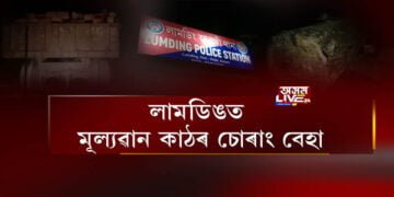 লামডিঙত মূল্যৱান কাঠৰ চোৰাং বেহা