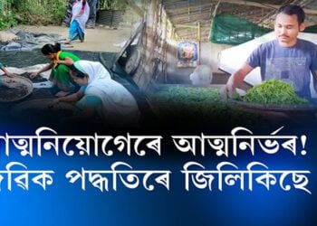 জৈৱিক চাহ খেতিৰে স্বাৱলম্বী এজন যুৱক