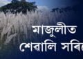 শৰতৰ আগমনত প্ৰাণচঞ্চল মাজুলী