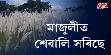 শৰতৰ আগমনত প্ৰাণচঞ্চল মাজুলী