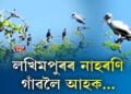 লখিমপুৰৰ প্ৰাকৃতিক সৌন্দৰ্যৰে ভৰপূৰ নাহৰণি গাঁও