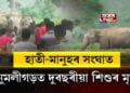 হাতী-মানুহৰ সংঘাত, নুমলীগড়ত দুবছৰীয়া শিশুৰ মৃত্যু