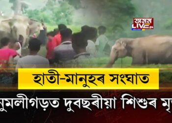 হাতী-মানুহৰ সংঘাত, নুমলীগড়ত দুবছৰীয়া শিশুৰ মৃত্যু