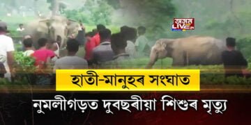 হাতী-মানুহৰ সংঘাত, নুমলীগড়ত দুবছৰীয়া শিশুৰ মৃত্যু
