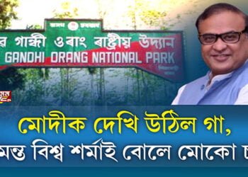 মোদীক দেখি উঠিল গা, হিমন্ত বিশ্ব শৰ্মাই বোলে মোকো চা!