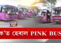 ক’লৈ গ’ল গুৱাহাটীৰ পিংক বাছ?