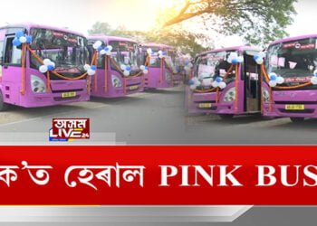 ক’লৈ গ’ল গুৱাহাটীৰ পিংক বাছ?