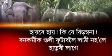 হায়ৰে হায়! কি যে বিড়ম্বনা!