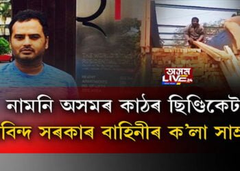 নামনি অসমৰ কাঠৰ ছিণ্ডিকেট